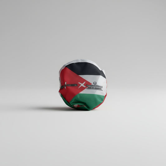 Palestine Flag Folding Frisbee