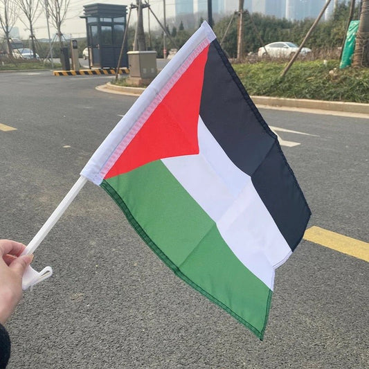 Palestine Car flag - Kites 4 Palestine