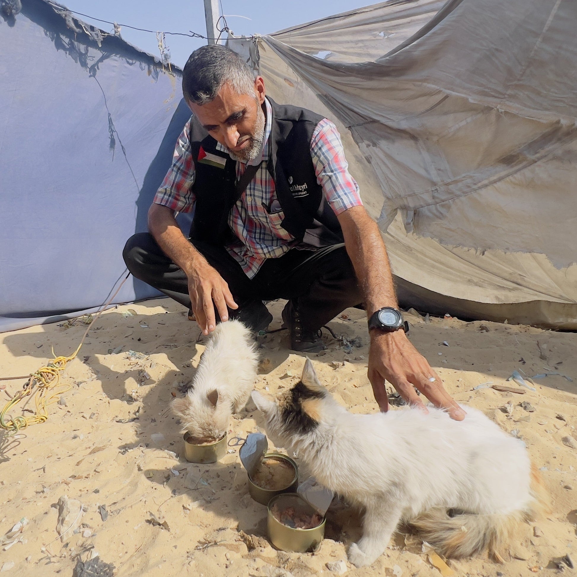 Man with two small cats in a sandy area with tents in the background