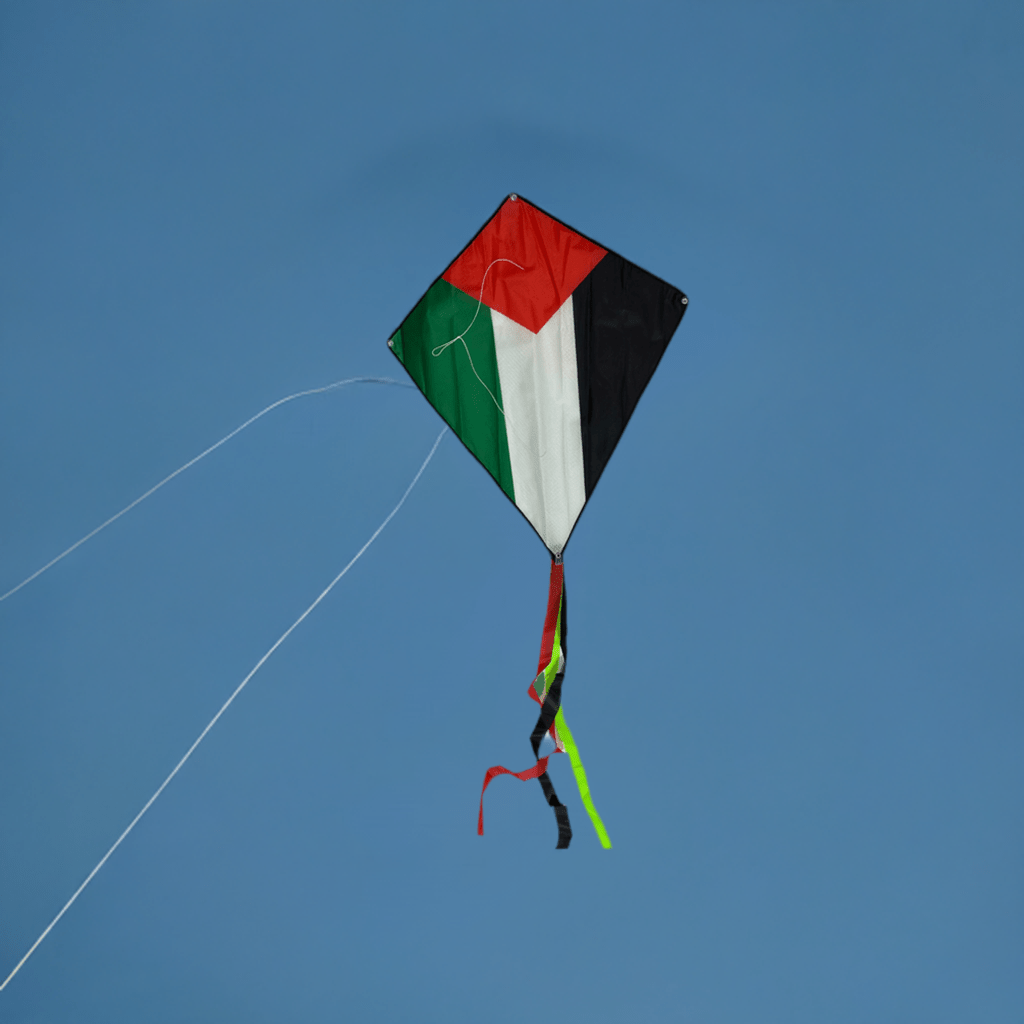 Palestine Kite - Kites 4 Palestine